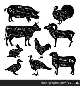 Illustrations for butcher shop. Cutting lines of different parts of domestic animals. Vector butcher animal part, meat diagram scheme rabbit and lamb, cattle and rooster. Illustrations for butcher shop. Cutting lines of different parts of domestic animals