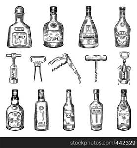Illustrations of corkscrew and different wine bottles. Alcohol tequila and rum, absinthe and baileys, cognac and whisky vector. Illustrations of corkscrew and different wine bottles