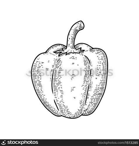 Illustrations of sweet pepper in engraving style. Design element for emblem, sign, poster, card, banner, flyer. Vector illustration