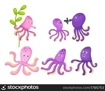 Illustrator of isolated octopus vector
