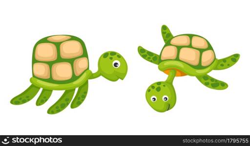 Illustrator of isolated two turtle vector