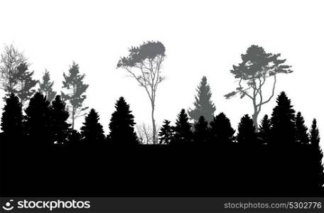 Image of Nature. Tree Silhouette. Eco banner. Vector Illustration EPS10. Image of Nature. Tree Silhouette. Eco banner. Vector Illustratio