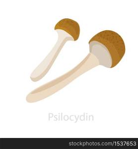 Image of psilocybin mushrooms. The concept of the psychedelic mushroom drug psilocebin, a hallucinogenic effect on the liberation of consciousness.. Image of psilocybin mushrooms. The concept of the psychedelic mushroom