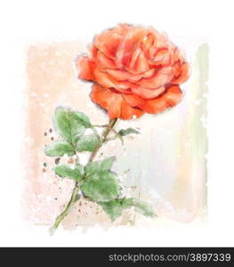 imitation of watercolor illustration of red rose