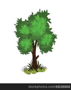 In Colorful Detailed Vector Web, Illustration, Banner or Game. Isometric Cartoon Bushy Green Tree - Tileset Map Element or Game Object