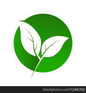 In the circle, two leaves of the plant are cut out, a symbol of ecology. Logo, logo, or sticker for websites and apps. A logo is an emblem or sticker for websites, applications, postcards, or business cards