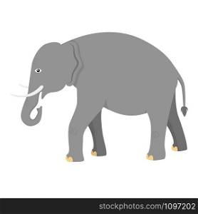 Indian elephant. Small cute indian elephant. vector illustration