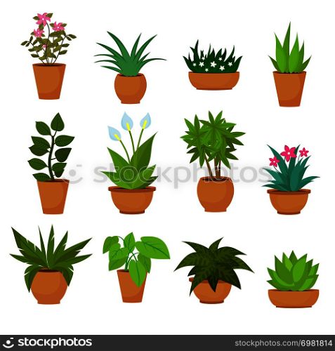 Indoor and outdoor landscape garden potted plants isolated on white. Vector set green plant in pot, illustration of flowerpot bloom. Indoor and outdoor landscape garden potted plants isolated on white. Vector set