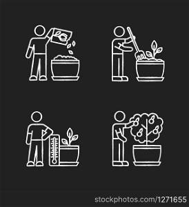 Indoor gardening process chalk white icons set on black background. Planting seed, propagating. Fluffing, plowing soil. Regulating temperature conditions. Isolated vector chalkboard illustrations