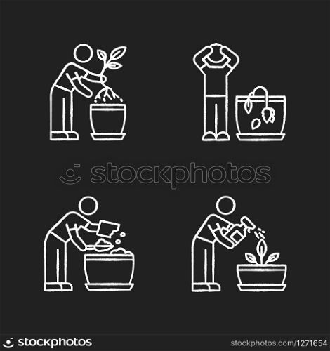 Indoor gardening stages chalk white icons set on black background. Plant cultivation. Replanting, repotting plant. Wilting flower. Preparing soil for planting. Isolated vector chalkboard illustrations