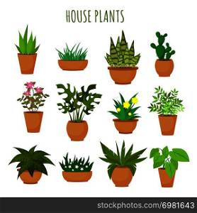 Indoor house green plants and flowers isolated on white vector set. Green plants in pots, illustration of green garden flower plant. Indoor house green plants and flowers isolated on white vector set