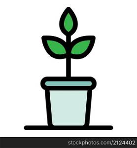 Indoor plant icon. Outline indoor plant vector icon color flat isolated. Indoor plant icon color outline vector