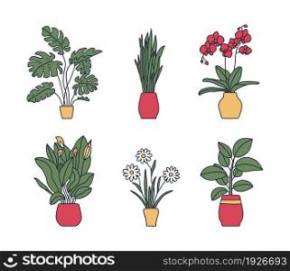 Indoor plant in a pot. Monstera, philodendron, orchid, peace lily, chamomile and snake plant. Sketch bundle