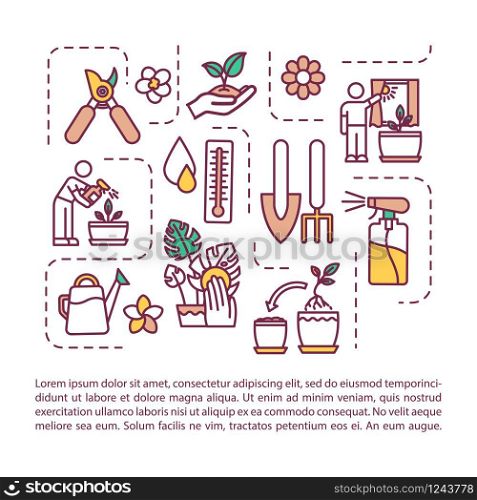 Indoor planting concept icon with text. Planting tools. Spraying, washing. Propagating, repotting. PPT page vector template. Brochure, magazine, booklet design element with linear illustrations