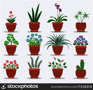 Indoor plants and flowers to refresh interior. Leafy botanical items with blossom in big pots. Natural decoration for interior design vector illustrations.. Indoor Plants and Flowers to Refresh Interior