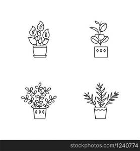Indoor plants pixel perfect linear icons set. Houseplants. Peace lily, zz plant. Parlor palm, ficus. Customizable thin line contour symbols. Isolated vector outline illustrations. Editable stroke