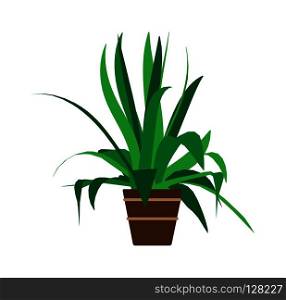 Indoor pot plant home vector. Floral green cartoon interior icon. Summer flower room graphic illustration. Office decoration small flowerpot isolated. Flat art exotic nature vase. Furniture drawing.