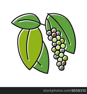 inflorescence pepper color icon vector. inflorescence pepper sign. isolated symbol illustration. inflorescence pepper color icon vector illustration