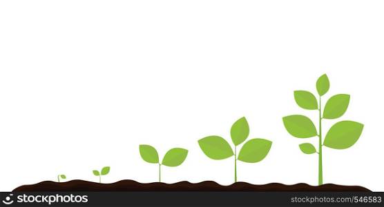 Infographic of planting tree. Seedling gardening plant. Seeds sprout in ground. Sprout, plant, tree growing agriculture icons. Vector illustration isolated on white background.