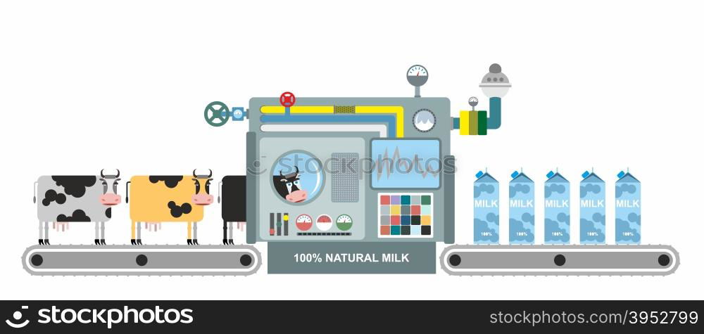 Infographics milk production. Stages of milk production from cows ...