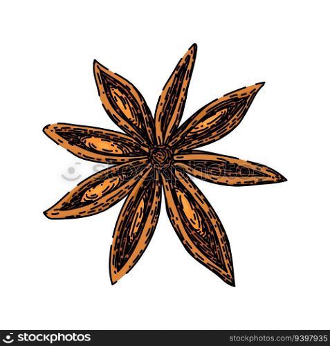 ingredient anise star hand drawn. chinese condiment, herb seed, ed cooking ingredient anise star vector sketch. isolated color illustration. ingredient anise star sketch hand drawn vector
