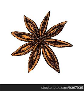 ingredient anise star hand drawn. chinese condiment, herb seed, ed cooking ingredient anise star vector sketch. isolated color illustration. ingredient anise star sketch hand drawn vector