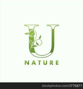 Initial Alphabet Letter U Green Nature Logo, vector logo template design concept floral leaf green color.