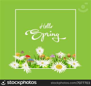 Inscription Spring Time on background with spring flowers