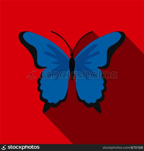 Insect butterfly icon. Flat illustration of insect butterfly vector icon for web. Insect butterfly icon, flat style.