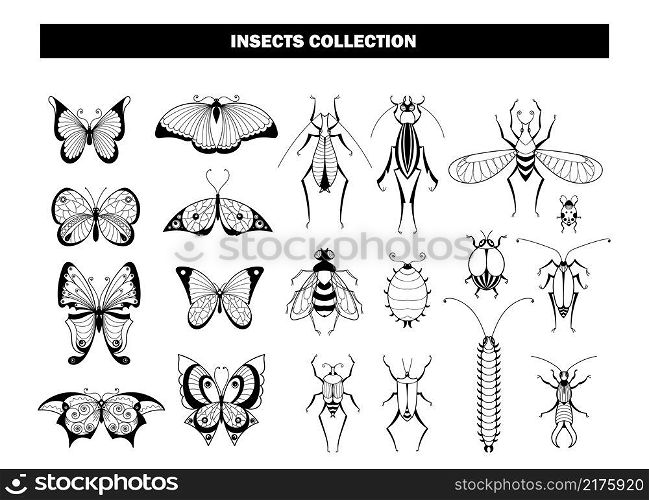 Insect collection. Butterfly beetle dragonfly, black insects silhouettes. Spring summer flying animals, garden pests vector set. Illustration dragonfly and beetle, butterfly and ladybug. Insect collection. Butterfly beetle dragonfly, black insects silhouettes. Spring summer flying animals, garden pests vector set