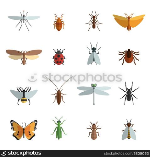 Insect icon flat set with mosquito grasshopper spider ant isolated vector illustration. Insect Icon Flat