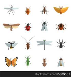Insect icon flat set with mosquito grasshopper spider ant isolated vector illustration. Insect Icon Flat