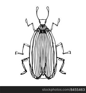Insect illustration, drawing, engraving, ink, line art, vector