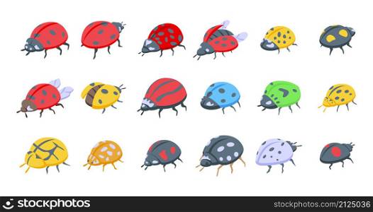 Insect ladybird icons set isometric vector. Child fly. Insect bug. Insect ladybird icons set isometric vector. Child fly