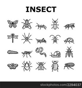 Insect, Spider And Bug Wildlife Icons Set Vector. Dragonfly And Butterfly, Ladybug And Cockroach, Grasshopper And Bumblebee, Mosquito And Caterpillar Insect Line. Black Contour Illustrations. Insect, Spider And Bug Wildlife Icons Set Vector