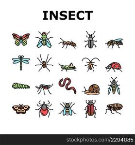 Insect, Spider And Bug Wildlife Icons Set Vector. Dragonfly And Butterfly, Ladybug And Cockroach, Grasshopper And Bumblebee, Mosquito And Caterpillar Insect Line. Color Illustrations. Insect, Spider And Bug Wildlife Icons Set Vector