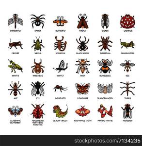 Insect , Thin Line and Pixel Perfect Icons