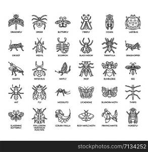 Insect , Thin Line and Pixel Perfect Icons
