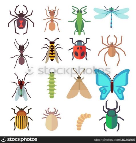 Insect vector flat icons set. Insect vector flat icons set. Butterfly and bug, fly and ant illustration