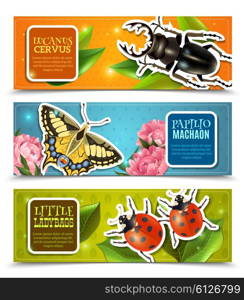 Insects Banners Set. Insects horizontal banners set with ladybugs and machaon realistic isolated vector illustration