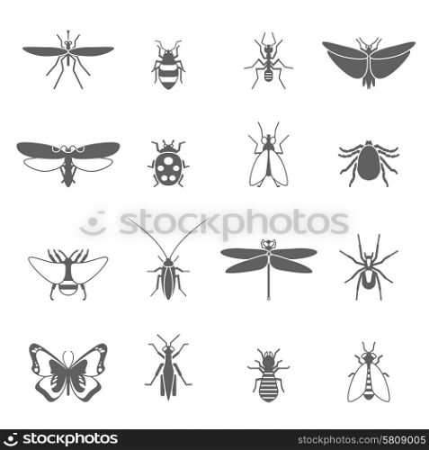 Insects black icons set with bee bug fly butterfly isolated vector illustration. Insects Black Icons Set