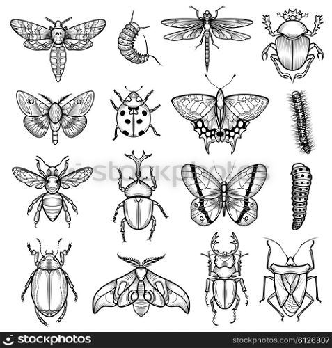 Insects Black White Line Icons Set . Insects black white line icons set with dragonfly and caterpillar flat isolated vector illustration