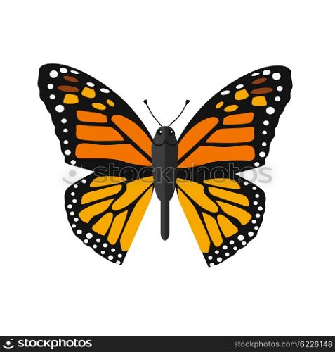 Insects Butterflies Isolated on White Background. Insects butterflies isolated on white background. Beautiful butterfly with big wings and elegant orange and black colors pattern. Insect flying isolated on white backdrop. Vector ilustration