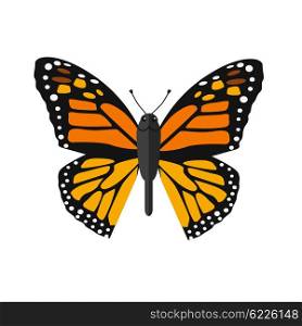 Insects Butterflies Isolated on White Background. Insects butterflies isolated on white background. Beautiful butterfly with big wings and elegant orange and black colors pattern. Insect flying isolated on white backdrop. Vector ilustration