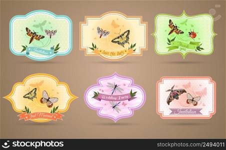 Insects emblems set and invitation cards realistic isolated vector illustration . Insects Emblems Set