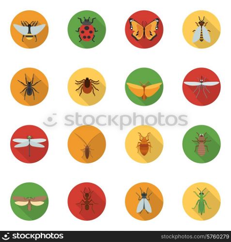 Insects icons flat set with dragonfly beetle woodlouse locust isolated vector illustration. Insects Icons Flat