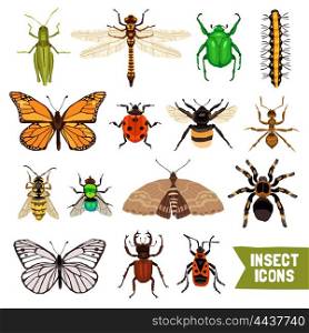 Insects Icons Set. Insects Icons Set. Insects Flat Vector Illustration. Insects Isolated Decorative Set. Insects Design Set. Insects Elements Collection.