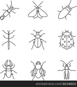 Insects linear icons set. Insects linear icons set. Earwig, moth, cockroach, stick bug, ground and stag beetles, ladybug, housefly, grasshopper. Thin line contour symbols. Isolated vector outline illustrations