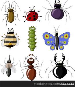 Insects on a white background, vector illustration