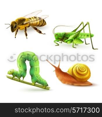 Insects realistic colored decorative icons set with wasp grasshopper caterpillar snail isolated vector illustration
